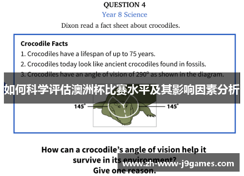 如何科学评估澳洲杯比赛水平及其影响因素分析