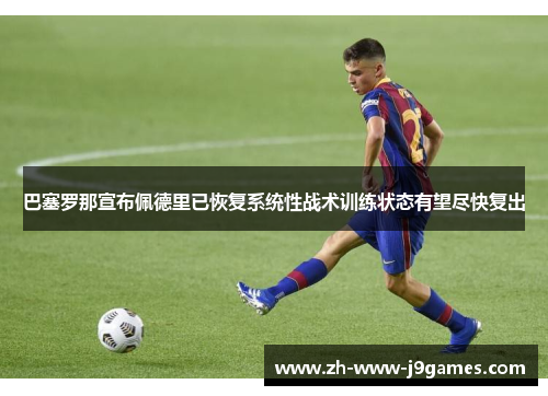 巴塞罗那宣布佩德里已恢复系统性战术训练状态有望尽快复出 巴塞罗那宣布佩德里已恢复系统性战术训练状态有望尽快复出